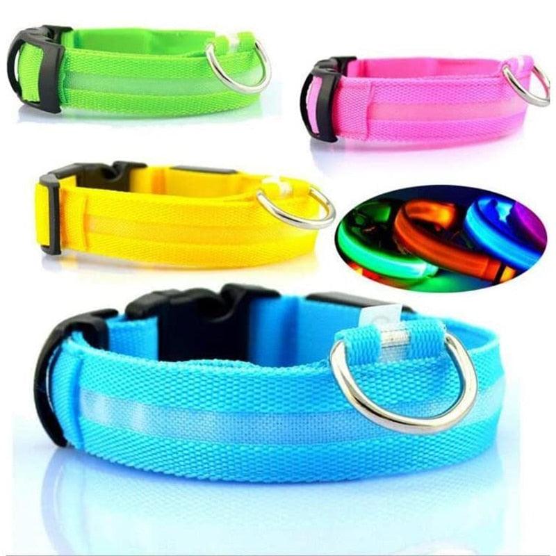 Les colliers lumineux pour chiens GlowingDogCollars™ - Toppitou