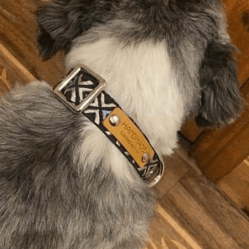Collier de chien design durable No.1m - Toppitou
