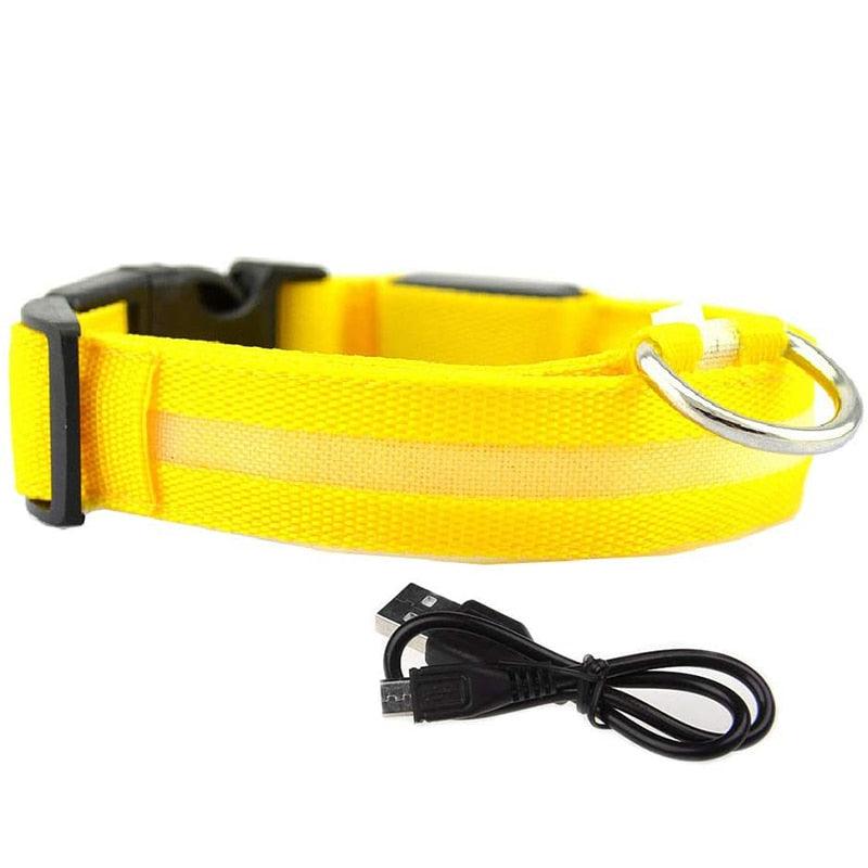 Collier Lumineux Chien | GlowingDogCollars™ - Toppitou