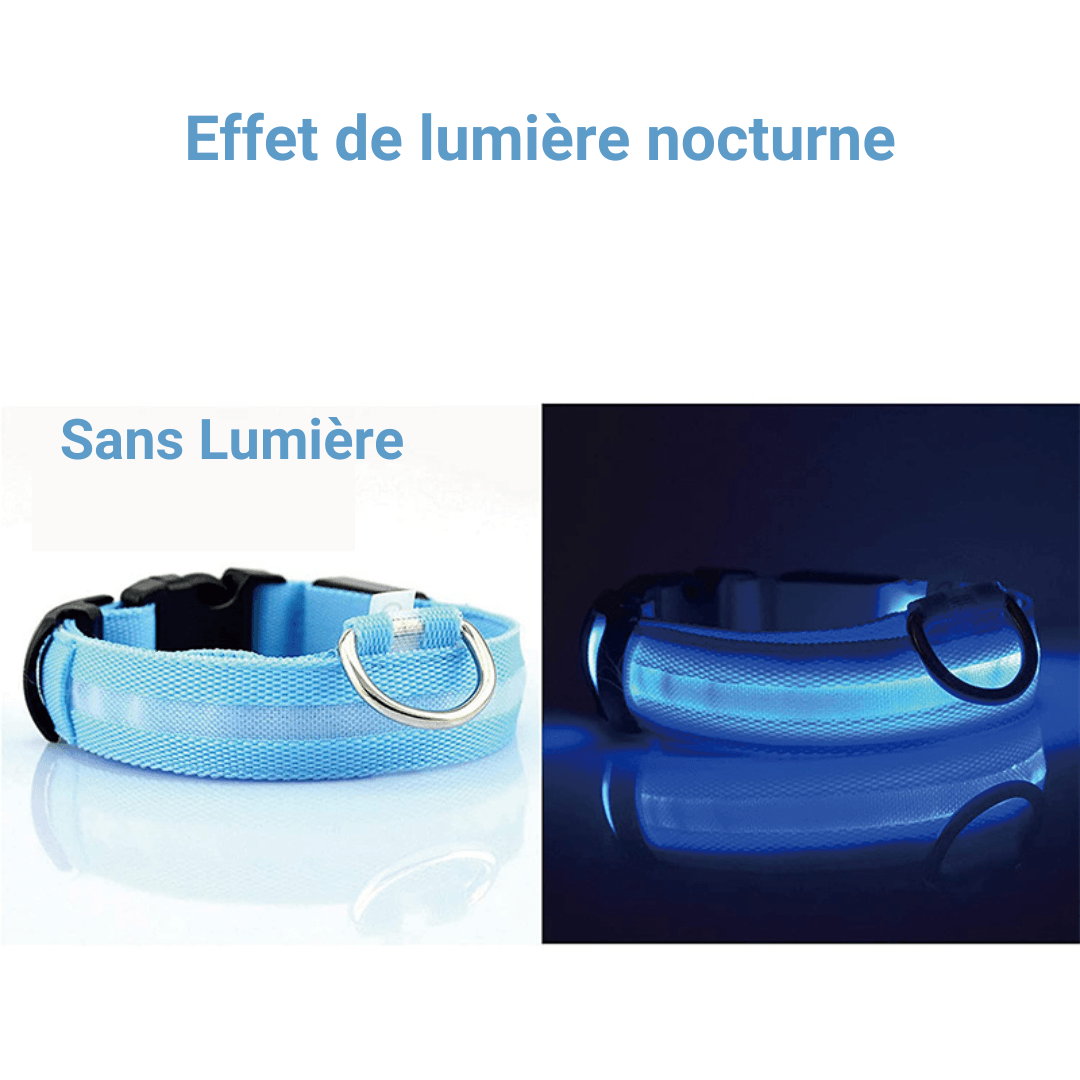 Collier Lumineux Chien | GlowingDogCollars™ - Toppitou