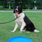 Disque volant pour chien | DogFlyingDisk™ - Toppitou