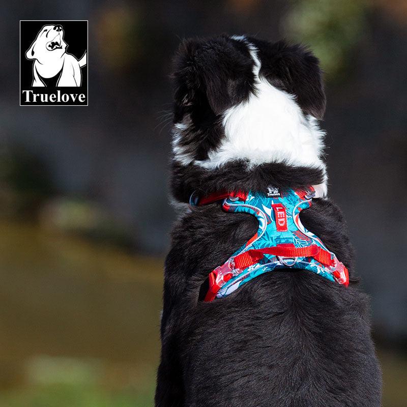 Harnais pour chien Truelove | Truelove Dog Harness - Toppitou