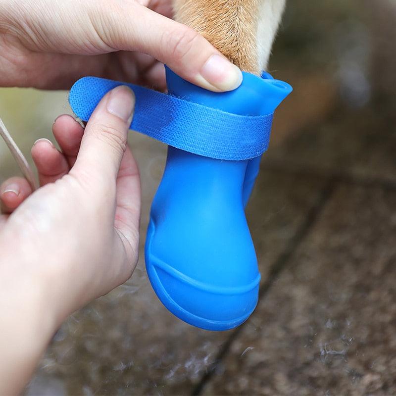 Imperméable pour chien et botte| WaterRainshoe™ - Toppitou