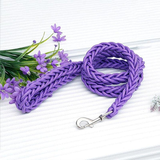 Laisse en nylon pour chien | NylonDoggyLeash™ - Toppitou