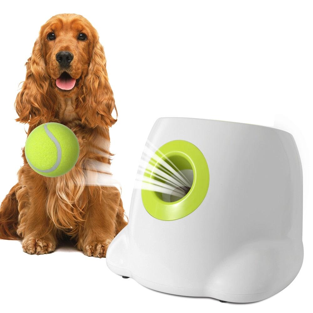 Lanceur auto de balles de tennis pour chien | DoggyBallAuto™ - Toppitou