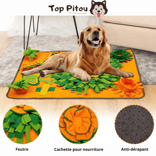 Tapis d'alimentation pour chien - Toppitou