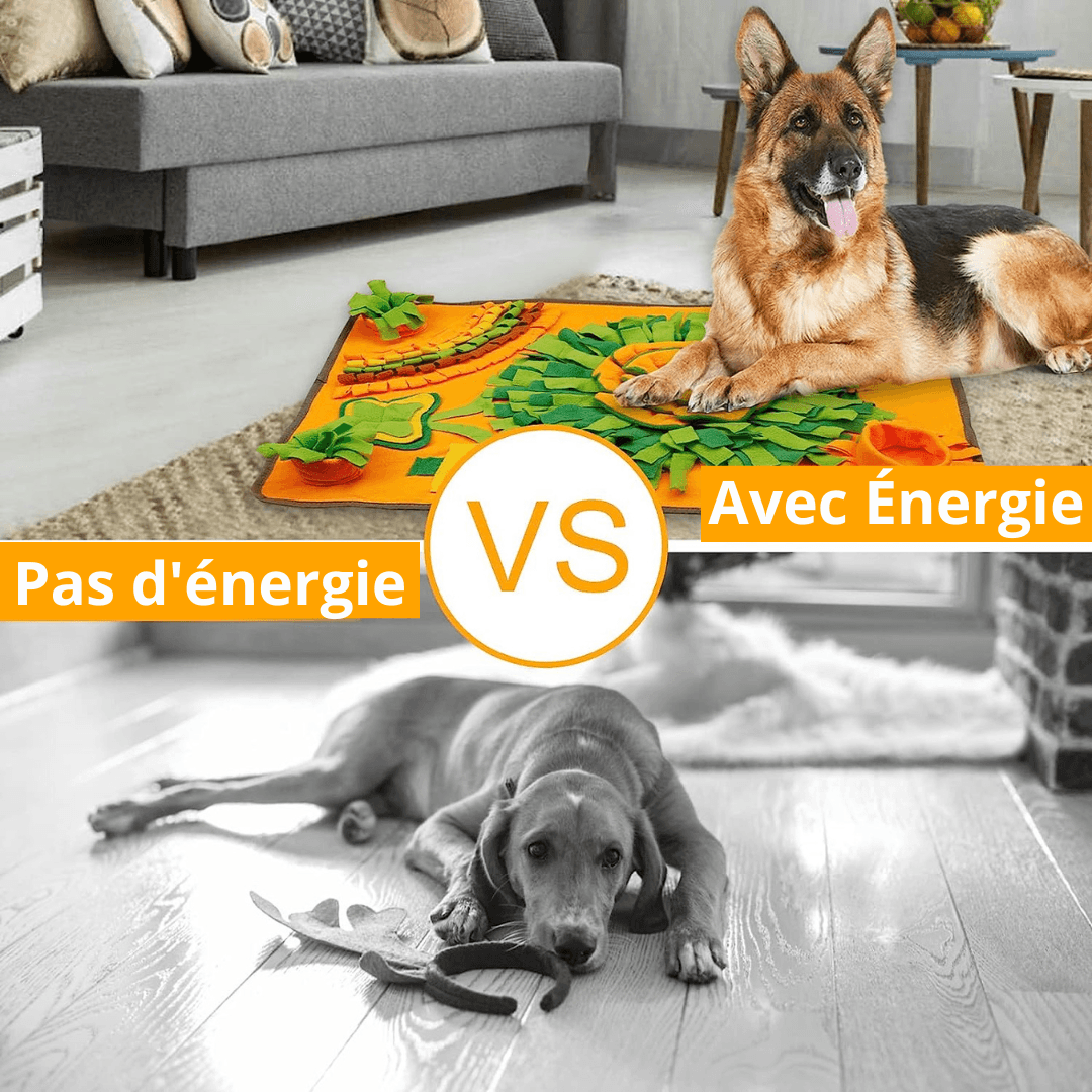 Tapis d'alimentation pour chien - Toppitou